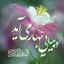 Profile picture of ‌حاضر ِغایب از نظرها‌