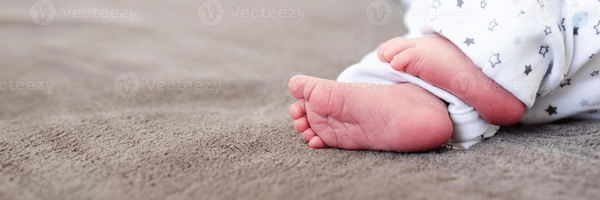 ‌بی پناه‌'s header picture