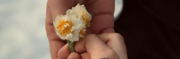 ‌خانم خدادادی‌'s header picture