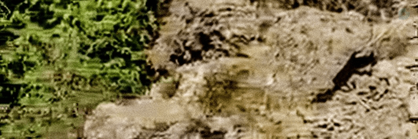 ‌™️Mohsen Kh‌'s header picture