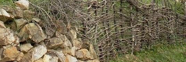 ‌محمدرضا سلطانی‌'s header picture