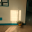 Profile picture of ‌Reyhoon( B612اخترک)‌