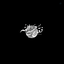 Profile picture of ‌فاطمه سادات کاظمی‌