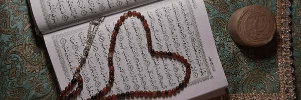 ‌زهرا ولی نژاد‌'s header picture