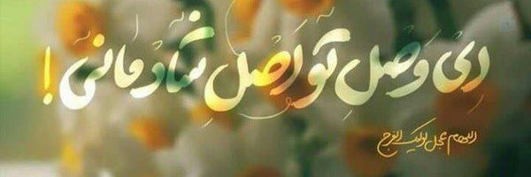 ‌گل نرگس‌'s header picture