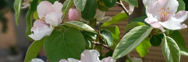 ‌مهدی شهریاری‌'s header picture