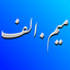 Profile picture of ‌میم.الف‌