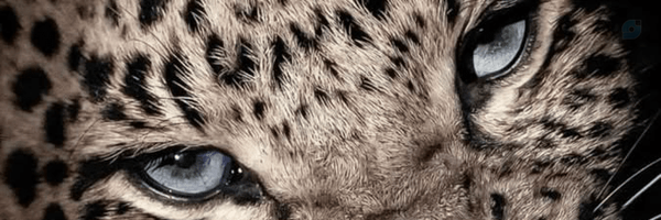 ‌راحیل‌درسرزمین‌فجایع.‌'s header picture