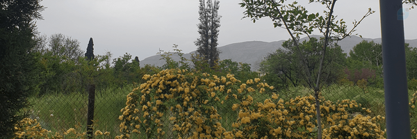 ‌parsa onyablock‌'s header picture
