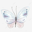 Profile picture of ‌Luna‌