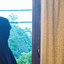 Profile picture of ‌سیدناالشهید‌