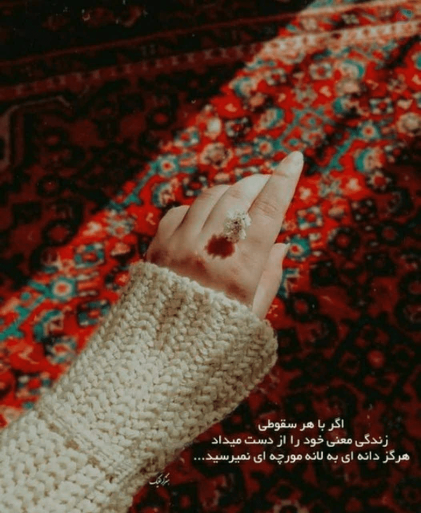 اگر با هر سقوطی 
زندگی معنی خود را از دست میداد
هرگز دانه ای به لانه مورچه ای نمیرسید