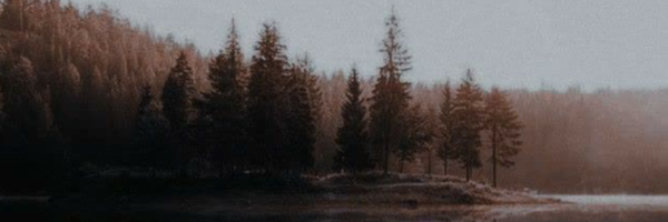 ‌هینـا؛‌'s header picture