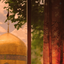 Profile picture of ‌Me‌