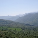 Profile picture of ‌Gh Ghorbani‌