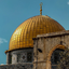 Profile picture of ‌سید‌