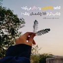 Profile picture of ‌🇵🇸:)Atena‌