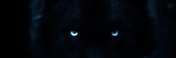 ‌john Snow‌'s header picture