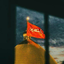 Profile picture of ‌🌊Ocean‌