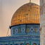 Profile picture of ‌میم طه طه‌