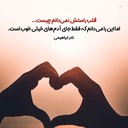Profile picture of ‌arash ...‌