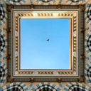 Profile picture of ‌عمار حداد‌