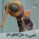 Profile picture of ‌سالار‌