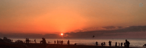 ‌Mahdie‌'s header picture