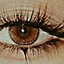 Profile picture of ‌مهتاب ماه رو‌