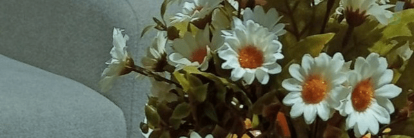 ‌AREF ♕‌'s header picture