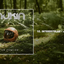 AUKIN - INTERESTELAR ( Interstellar Post Rock Cover ) Post Rock Chileno