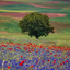 Profile picture of ‌اینجا ایران اینجا ایران‌