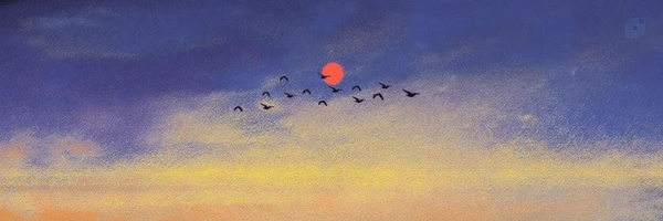 ‌پرهام زمانی :)‌'s header picture