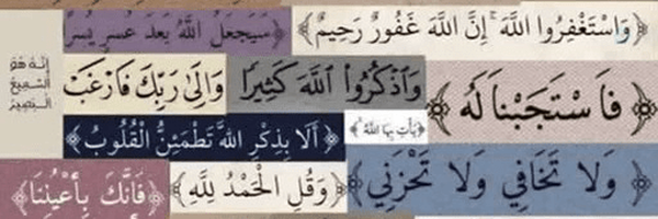 ‌narges330‌'s header picture