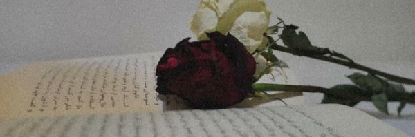 ‌حوراء مغفوری‌'s header picture