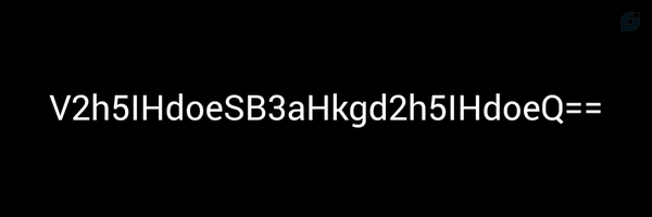 ‌VGhlIGJvaWxlZCBvbmU=‌'s header picture