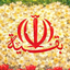 Profile picture of ‌پویا محمدی‌
