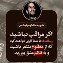 Profile picture of ‌دانشمند‌