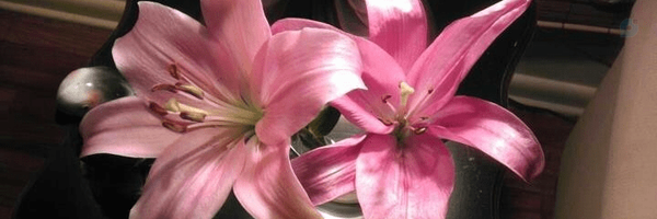 ‌آوینا☫ | Offline‌'s header picture