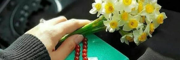 ‌فاطمه فربد‌'s header picture