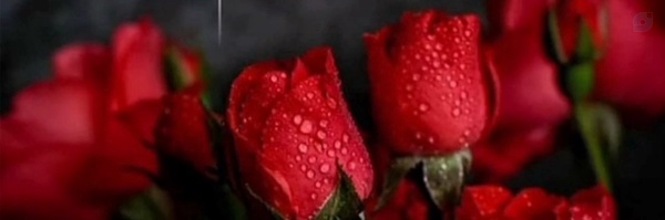 ‌*م *س*ی*‌'s header picture