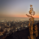 Profile picture of ‌User Irani‌