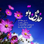 Profile picture of ‌مهدی محمدی‌