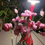 Profile picture of ‌یکتا وفا‌