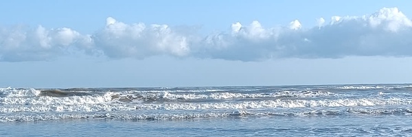 ‌Shoeib Alinezhad‌'s header picture