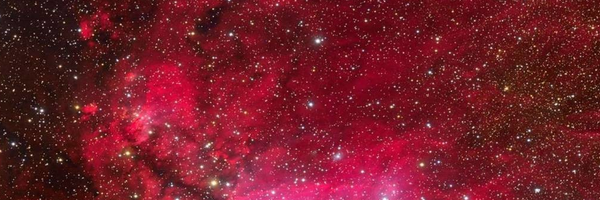‌فرید روزبهانے‌'s header picture