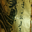 Profile picture of ‌MOHAMMAD MOHAMMADI‌
