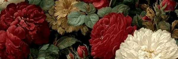 ‌Dr‌'s header picture