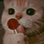 Profile picture of ‌نونو‌