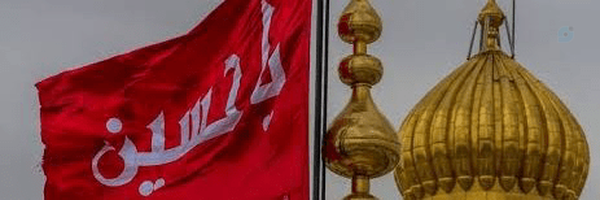 ‌کاکتوس خانم‌'s header picture
